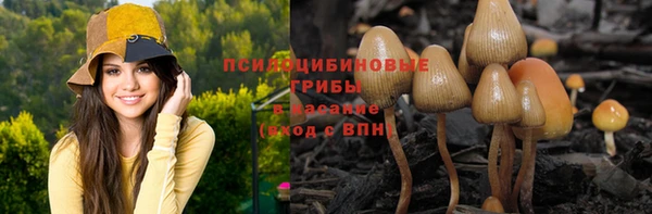 бошки Осташков