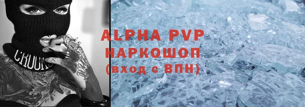индика Вязьма