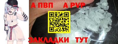 амф Гусев