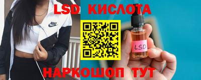 амф Гусев