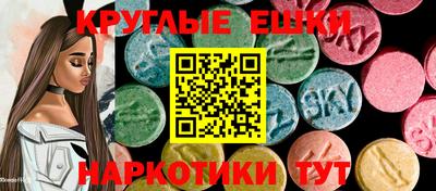 амф Гусев