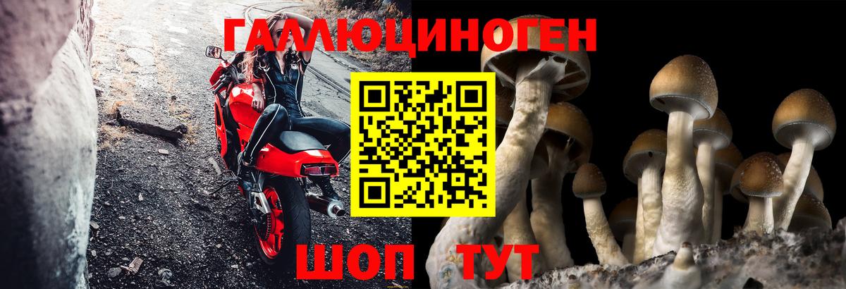 Галлюциногенные грибы ЛСД  Вход с VPN  Ирбит 