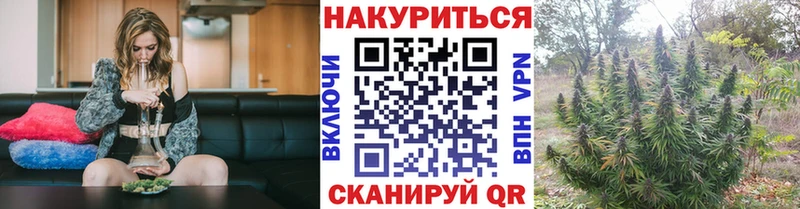 Шишки марихуана планчик блэк спрут как войти Ирбит
